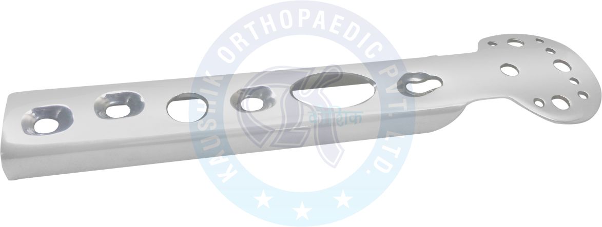 Trochanter Stabilizing Plate 